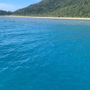 Meet your Posher, Imogen